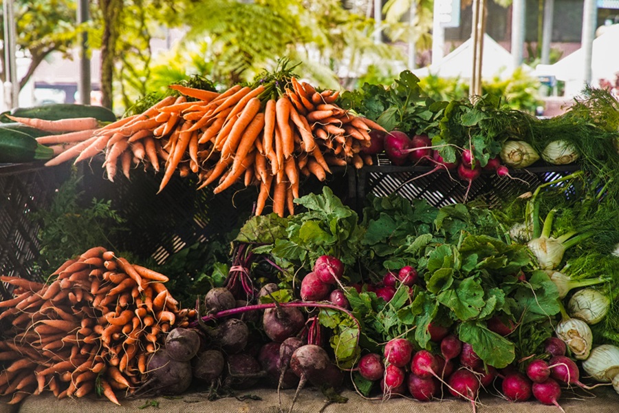 2B Mindset Veggies Most Breakfast Ideas View of Root Vegetables Harvested for Eating