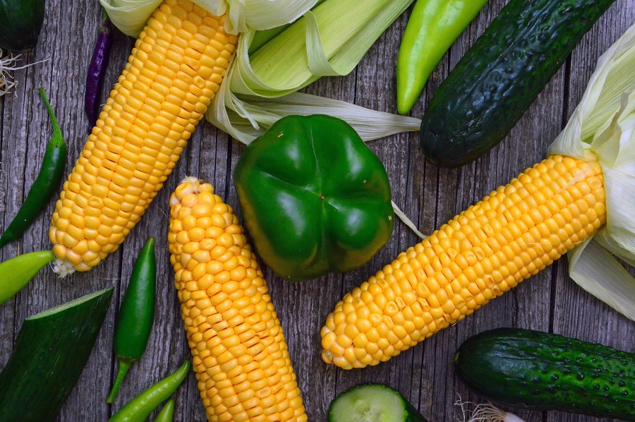 Losing weight with intermittent fasting means knowing how to get through hunger during fasting periods and not overeating when they’re done. What is Intermittent Fasting | How to Intermittent Fast | Does Intermittent Fasting Work | How to Lose Weight | Weight Loss Diet Plan