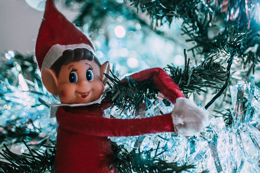 Elf Introduction Ideas for Elf on the Shelf Close Up of an Elf in a Tree