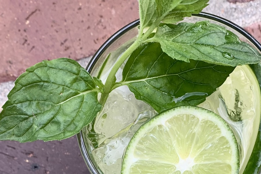 Sparkling Cucumber Cooler with Gin Cocktail Recipe Close Up of a Mint Sprig in a Cocktail with Lime Slices