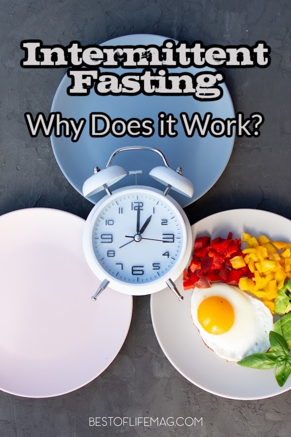 Why does intermittent fasting work? The short answer is it’s a healthier approach to eating, but there is a lot of information that goes into that answer that will motivate you to stay dedicated to your IF plan. Weight Loss Tips | Diet Plans | Meal Prep Tips | Intermittent Fasting Tips | Weight Loss Tips | Intermittent Fasting Ideas | Ways Intermittent Fasting Works | How to Start Intermittent Fasting #weightlosstips #intermittentfasting via @amybarseghian