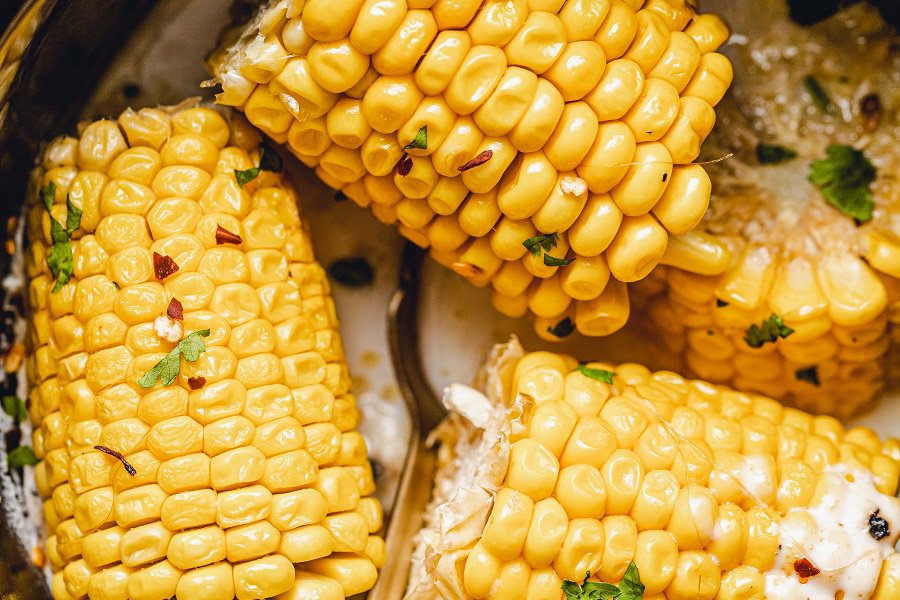 Healthy Summer Dinners Close Up of Corn on the Cob